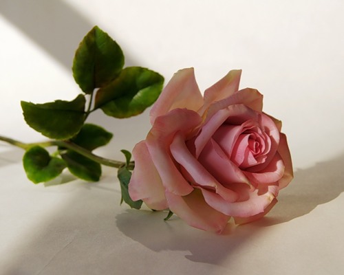 цветок розы из керамики
