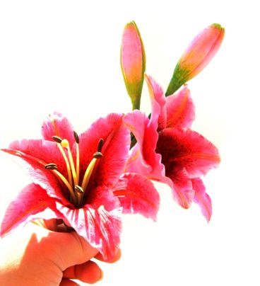 керамический цветок лилия